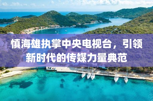 慎海雄执掌中央电视台，引领新时代的传媒力量典范