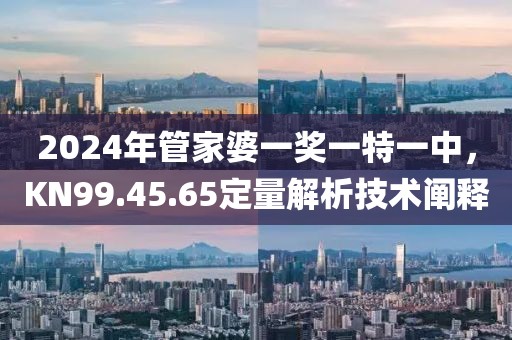 2024年管家婆一奖一特一中，KN99.45.65定量解析技术阐释
