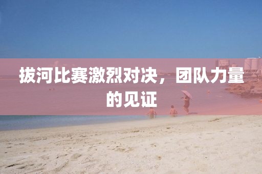 拔河比赛激烈对决，团队力量的见证