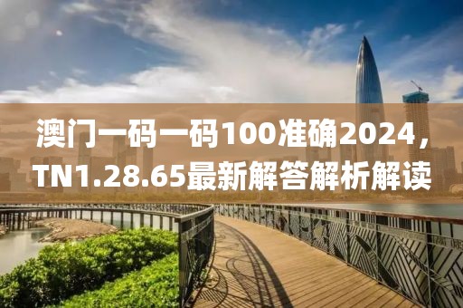 澳门一码一码100准确2024，TN1.28.65最新解答解析解读