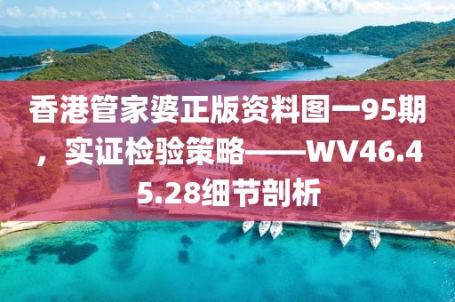 香港管家婆正版资料图一95期，实证检验策略——WV46.45.28细节剖析
