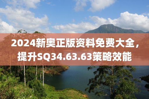 2024新奥正版资料免费大全，提升SQ34.63.63策略效能