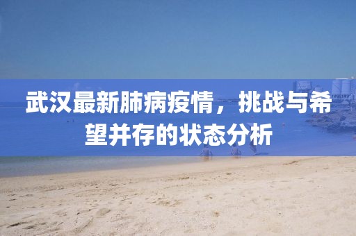 武汉最新肺病疫情，挑战与希望并存的状态分析