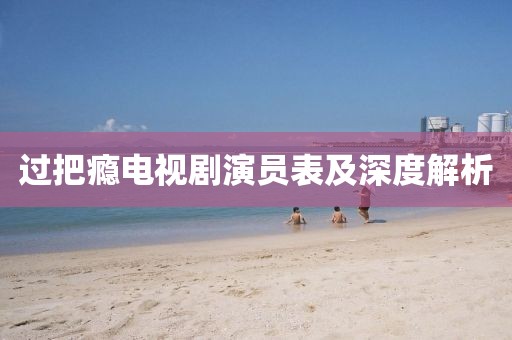 过把瘾电视剧演员表及深度解析