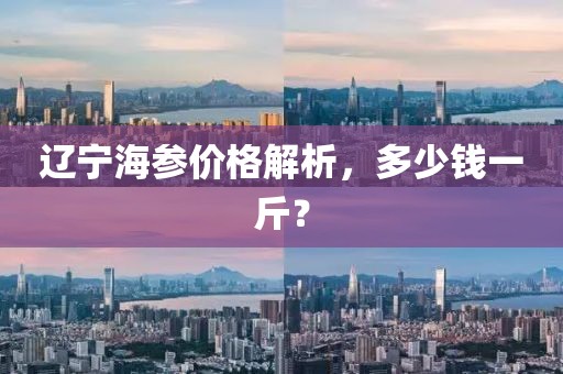 辽宁海参价格解析，多少钱一斤？