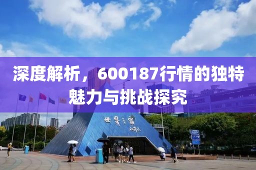 深度解析，600187行情的独特魅力与挑战探究