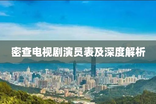 密查电视剧演员表及深度解析
