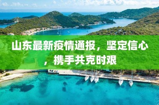 山东最新疫情通报，坚定信心，携手共克时艰