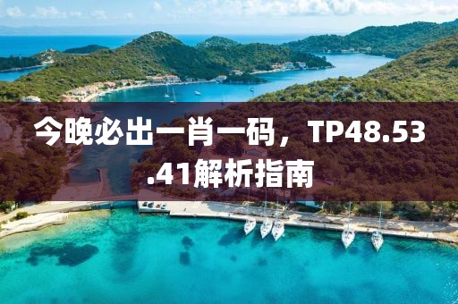 今晚必出一肖一码，TP48.53.41解析指南
