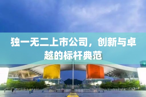 独一无二上市公司，创新与卓越的标杆典范