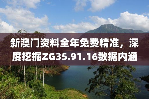 新澳门资料全年免费精准，深度挖掘ZG35.91.16数据内涵