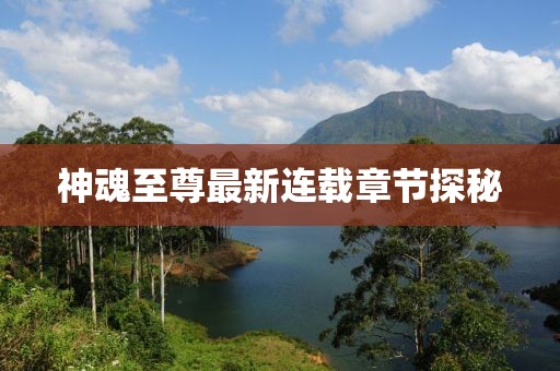 神魂至尊最新连载章节探秘