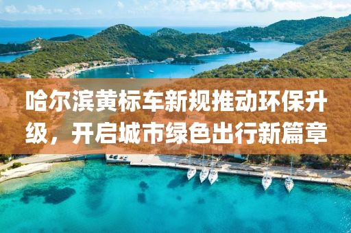 哈尔滨黄标车新规推动环保升级，开启城市绿色出行新篇章