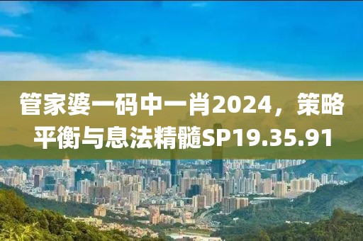 管家婆一码中一肖2024，策略平衡与息法精髓SP19.35.91