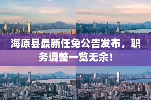 海原县最新任免公告发布，职务调整一览无余！