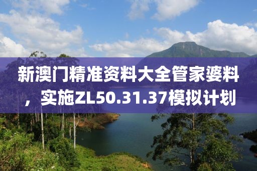 新澳门精准资料大全管家婆料，实施ZL50.31.37模拟计划