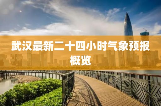 武汉最新二十四小时气象预报概览