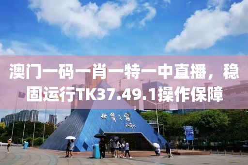 澳门一码一肖一特一中直播，稳固运行TK37.49.1操作保障