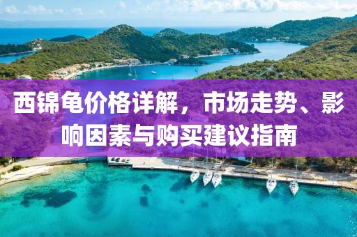 西锦龟价格详解，市场走势、影响因素与购买建议指南