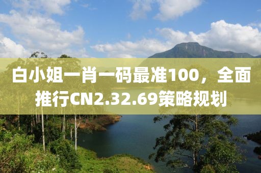 白小姐一肖一码最准100，全面推行CN2.32.69策略规划