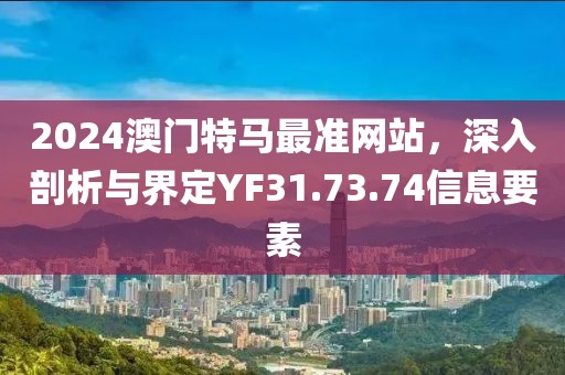 2024澳门特马最准网站，深入剖析与界定YF31.73.74信息要素