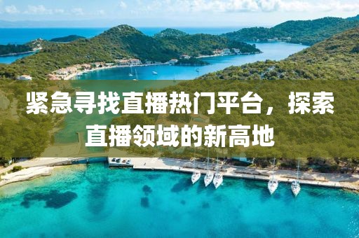 紧急寻找直播热门平台，探索直播领域的新高地