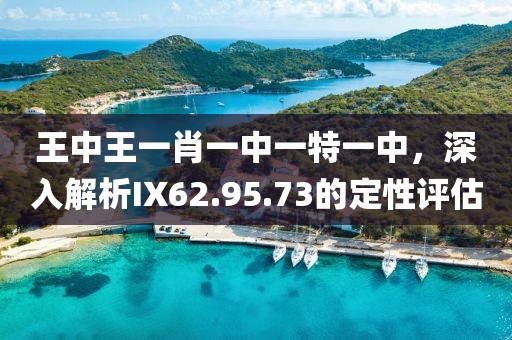 王中王一肖一中一特一中，深入解析IX62.95.73的定性评估