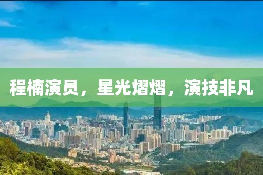 程楠演员，星光熠熠，演技非凡