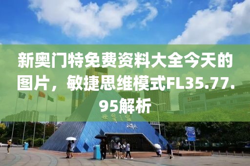 新奥门特免费资料大全今天的图片，敏捷思维模式FL35.77.95解析