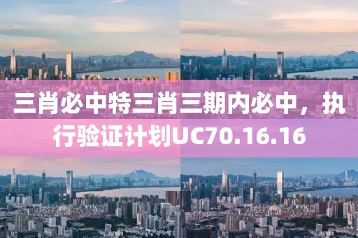 三肖必中特三肖三期内必中，执行验证计划UC70.16.16