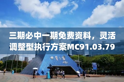 三期必中一期免费资料，灵活调整型执行方案MC91.03.79