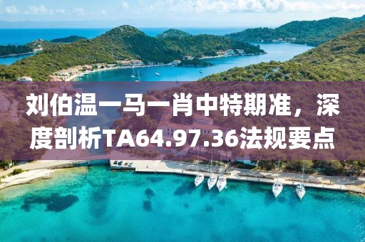 刘伯温一马一肖中特期准，深度剖析TA64.97.36法规要点