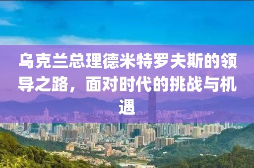 乌克兰总理德米特罗夫斯的领导之路，面对时代的挑战与机遇