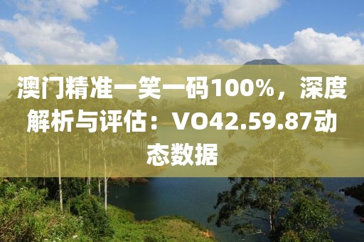 澳门精准一笑一码100%，深度解析与评估：VO42.59.87动态数据