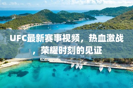 UFC最新赛事视频，热血激战，荣耀时刻的见证