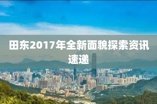 田东2017年全新面貌探索资讯速递
