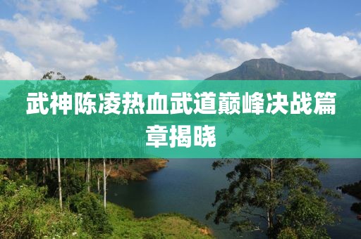 武神陈凌热血武道巅峰决战篇章揭晓