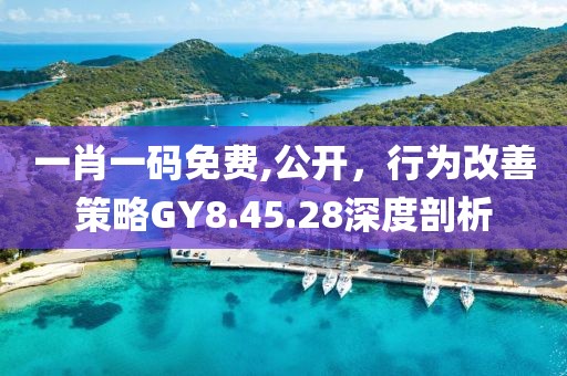 一肖一码免费,公开，行为改善策略GY8.45.28深度剖析