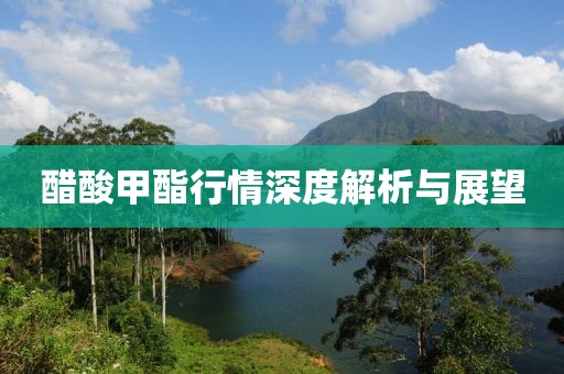 醋酸甲酯行情深度解析与展望