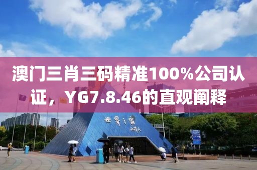 澳门三肖三码精准100%公司认证，YG7.8.46的直观阐释