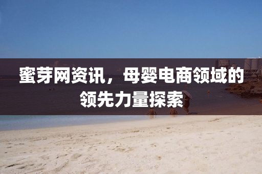 蜜芽网资讯，母婴电商领域的领先力量探索