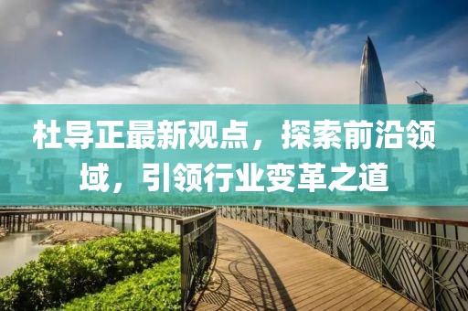 杜导正最新观点，探索前沿领域，引领行业变革之道