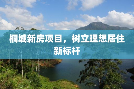 桐城新房项目，树立理想居住新标杆