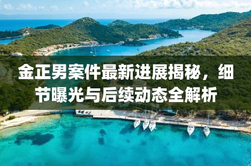 金正男案件最新进展揭秘，细节曝光与后续动态全解析
