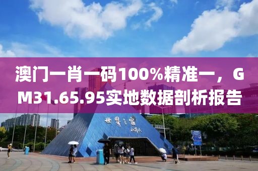 澳门一肖一码100%精准一，GM31.65.95实地数据剖析报告