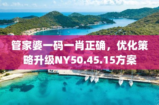 管家婆一码一肖正确，优化策略升级NY50.45.15方案