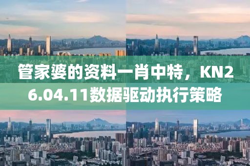管家婆的资料一肖中特，KN26.04.11数据驱动执行策略