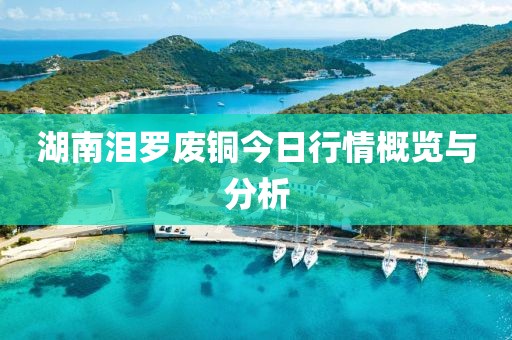 湖南泪罗废铜今日行情概览与分析