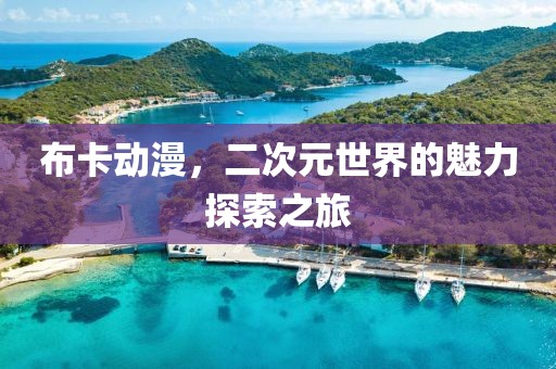 布卡动漫，二次元世界的魅力探索之旅