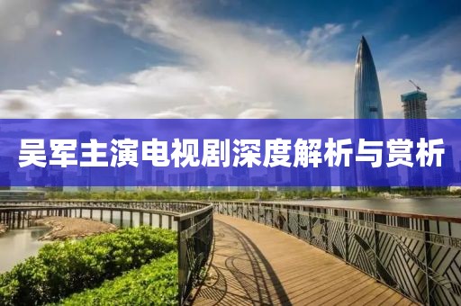 吴军主演电视剧深度解析与赏析